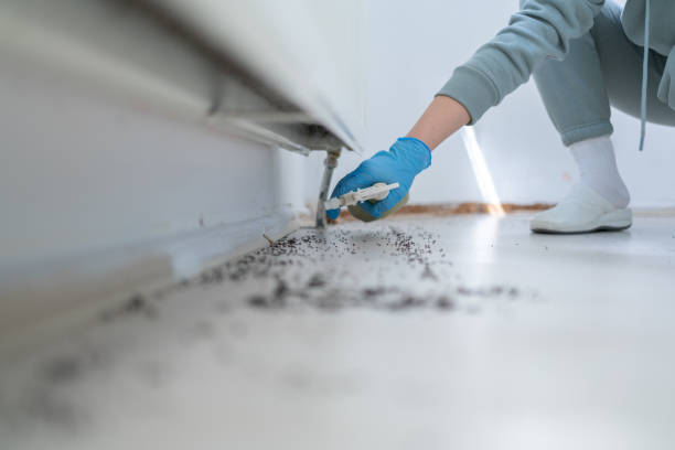 Best Local Pest Control Services  in Reminderville, OH